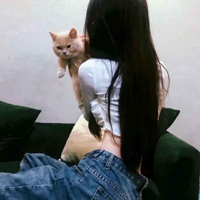 爱情诡计
